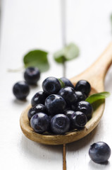 Blueberry