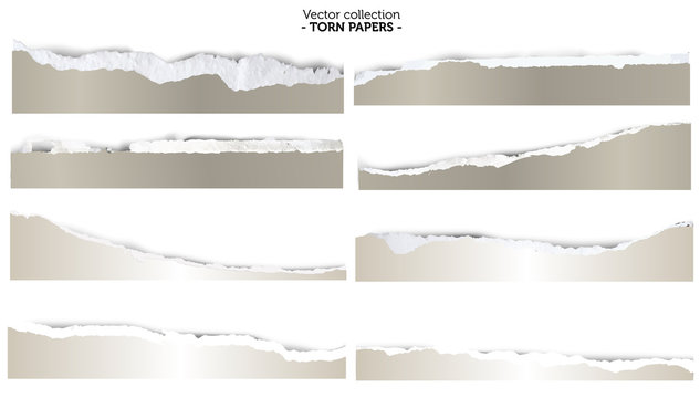 Collection of torn papers on white background, vector