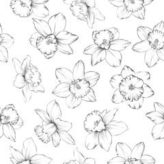 Seamless pattern with flowers narcissus.