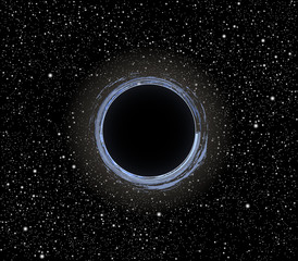 Black hole vector