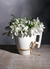 Beautiful snowdrops in cup on grey background