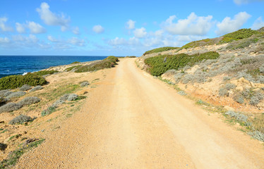 dirt road by the coast