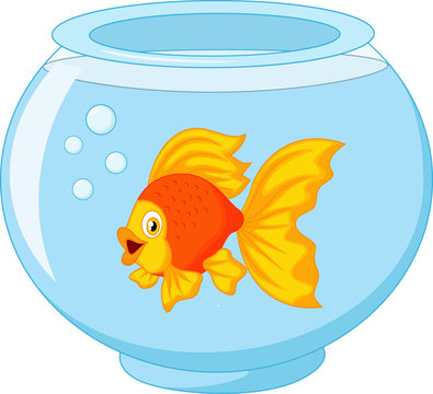 Gold Fish In Aquarium