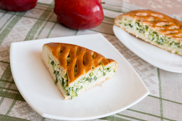 Homemade pie with egg and green onions