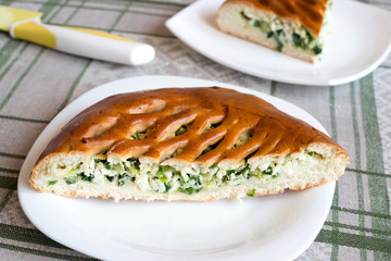 Homemade pie with egg and green onions