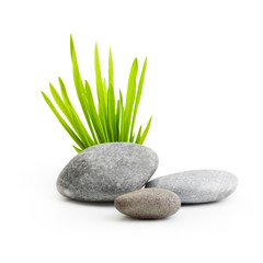 Stones with grass isolated on white background.