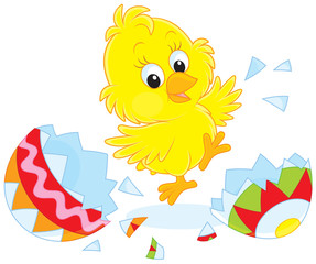 Newly hatched Easter Chick