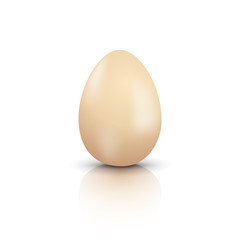 Vector natural egg