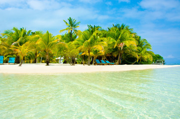 Tropical Paradise Island