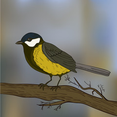Bird tit on branch in vector