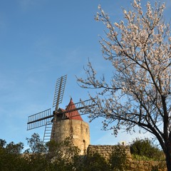 ALPILLES - FONTVIEILLE - MOULIN DE DAUDET