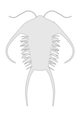cartoon image of trilobite animal