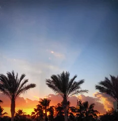 Foto op Canvas Egyptian sunset © louisabella22