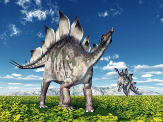 Dinosaur Stegosaurus © Michael Rosskothen