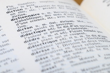 French Dictionary at the word Dictonary - 62217184