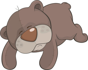 Toy bear cartoon