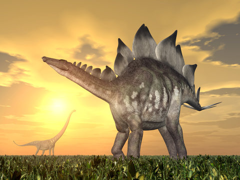 Stegosaurus and Mamenchisaurus