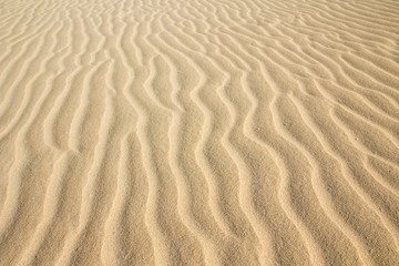 Fototapeta na wymiar Wzór tekstury piasku pustyni