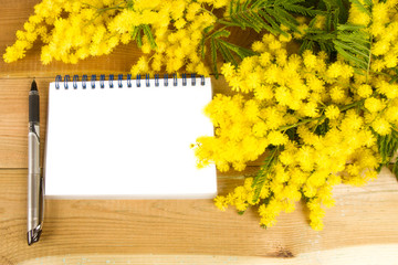 Blocco note e mimosa