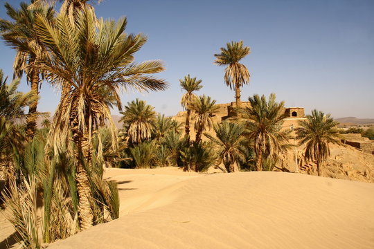premières dunes du Sahara