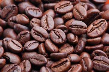 Coffee Bean