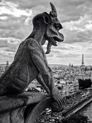 Foto op Canvas gargoyles on Notre Dame in Paris © sognolucido