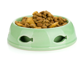 Cat food in a bowl