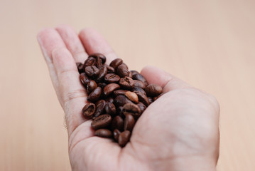 Hand Hold The Coffee Bean