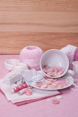 Sewing Craft Kit. Tailoring Hobby Accessories