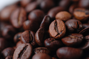 Coffee Bean Close Up