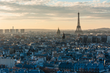 Fototapeta na wymiar Paris from Notre-Dame