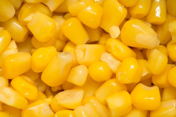 Background of corn. macro