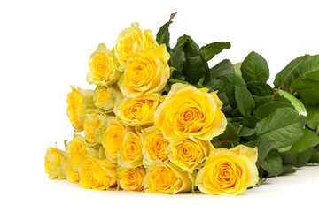 Group of fresh yellow roses