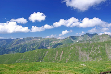 Fototapeta na wymiar Alpine meadow