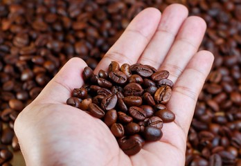 Hand Hold Coffee Beans