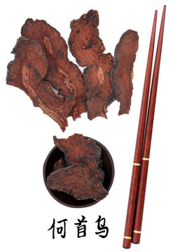 Fleeceflower Root