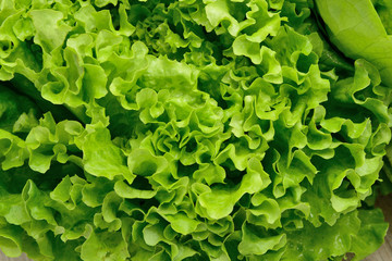cespo d'insalata verde posta su un tavolo di legno