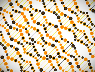 beautiful structure of the DNA molecule