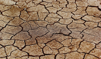 dry cracked earth