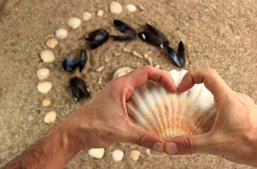 heart shape hands