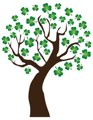 vector shamrock tree