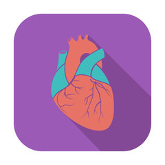 Heart flat icon