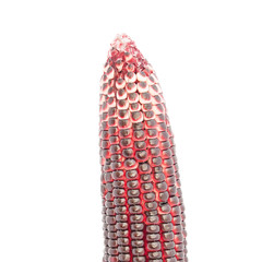 purple corn