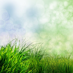 Frühlings-Hintergrund: Grünes Gras mit Bokeh :)