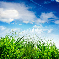 Frühlings-Hintergrund: Grünes Gras mit blauem Himmel :)
