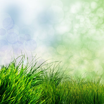 Fr&uuml;hlings-Hintergrund: Gr&uuml;nes Gras mit Bokeh :)