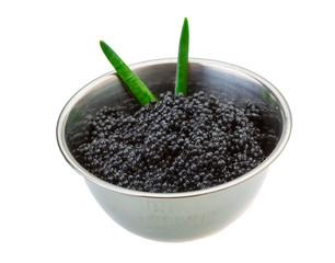 Black caviar
