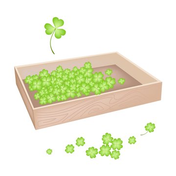 green clovers in wooden tray clip art preview
