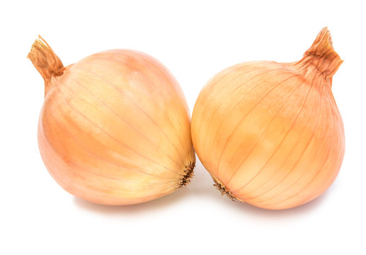 Fresh bulbs of onion on a white background