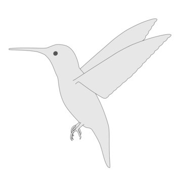 cartoon image of colibri bird
